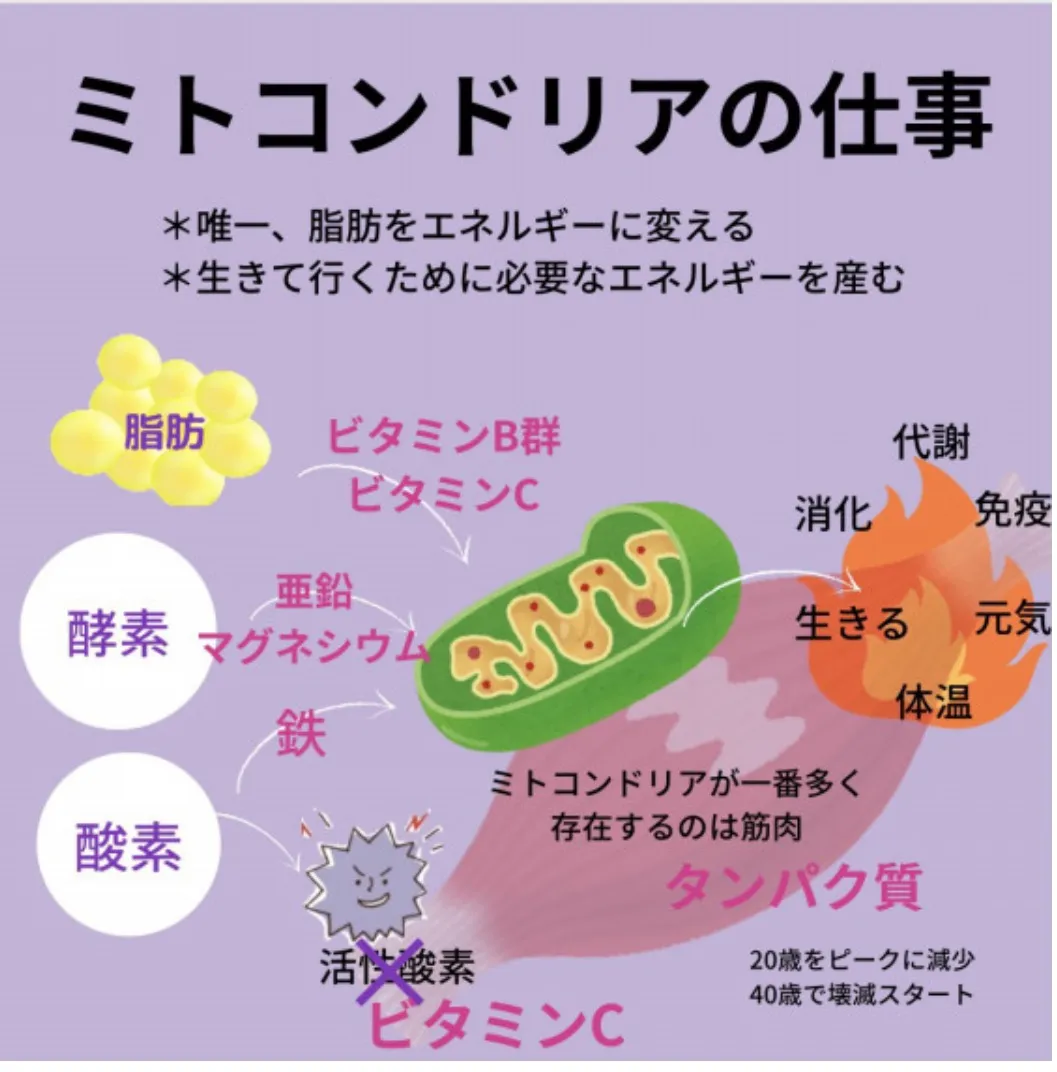 効果が出る人、効果が出る人、出ない人/深谷エステ